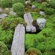 東福寺　お庭